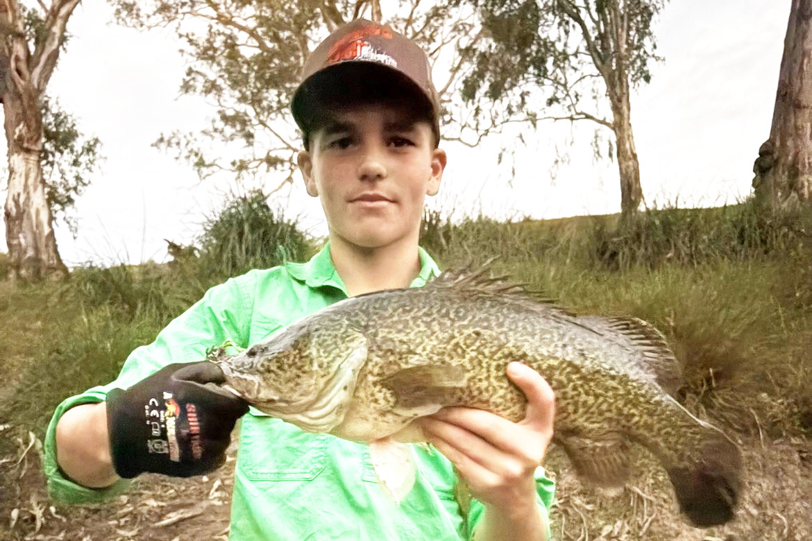 Local Lincoln Perry pictured with a nice cod from the MacIntyre Brook.