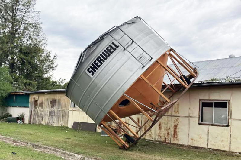 Images courtesy of Marie Crumpton.